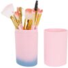 Pintslite komplekt, 12tk karbis